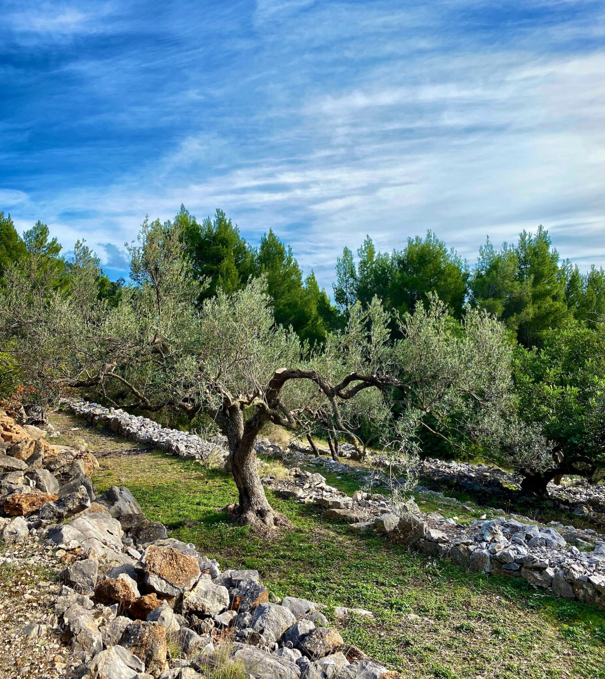 Karin Malle Suppan Retreat Dalmatien